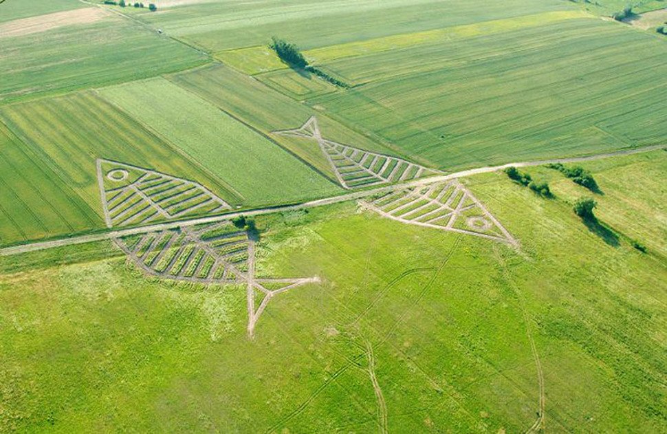 8 границ между государствами, которые ярко говорят об отношениях между этими странами заграница,страны