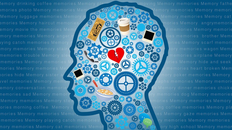 Как улучшить память — самые простые способы памяти, мозга, информации, память, улучшению, способствует, лучше, только, можно, ученые, запоминании, советуют, улучшить, головного, шалфея, информацию, запоминать, травы, способность, сохранить