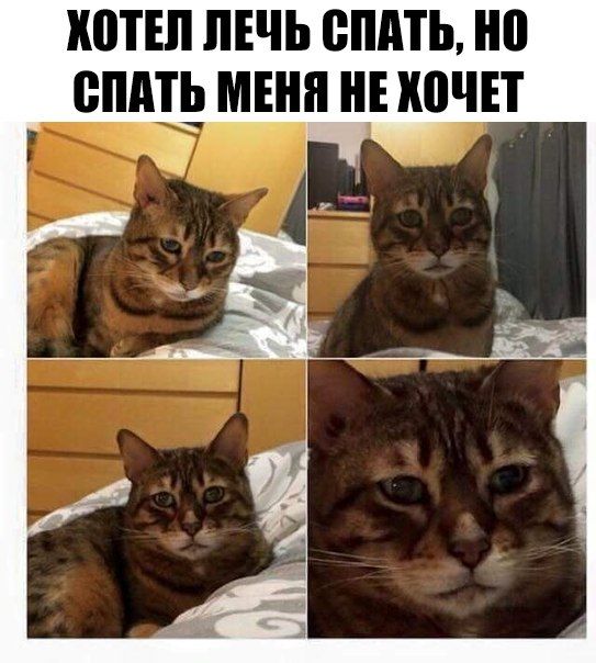 Подборка картинок. Дневной выпуск (54 фото)