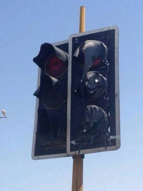 22 жаркие летние фотографии, чтобы согреться 