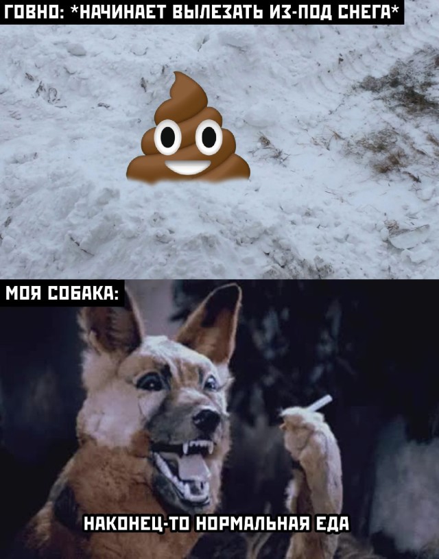 Подборка прикольных картинок  приколы,смешные картинки,юмор