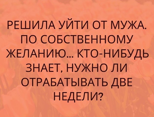 Полиглотка - это приличное слово? анекдоты,веселые картинки,отношения,юмор