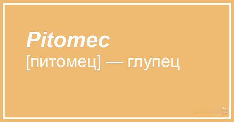 Чешский, что ты делаешь? Прекрати. 20 случаев, когда сдержать смех просто нереально 