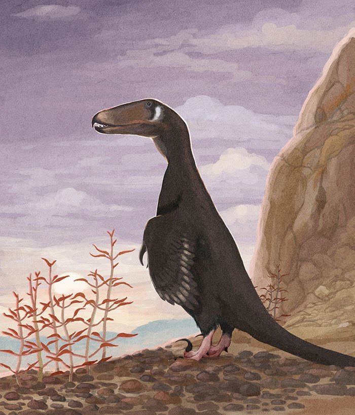 Дейноних, живший 121—98 млн лет назад динозавры, доисторические животные, доисторические существа, интересное, палеонтология, рисунки, художник