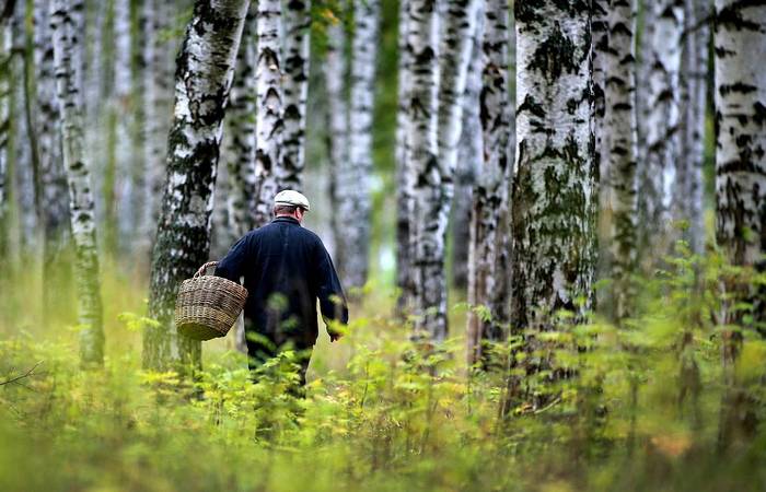 Чего нельзя делать в лесу, если вы заблудились