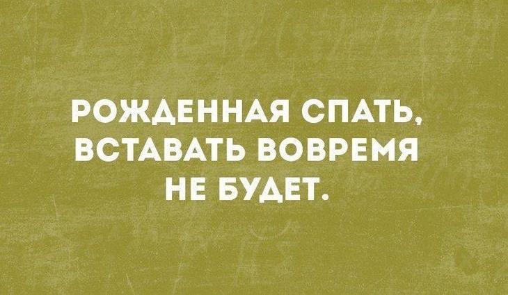 Подборка колких приколов с просторов Сети — отличный настрой на весь день Подборка колких приколов с просторов Сети — отличный настрой на весь день
