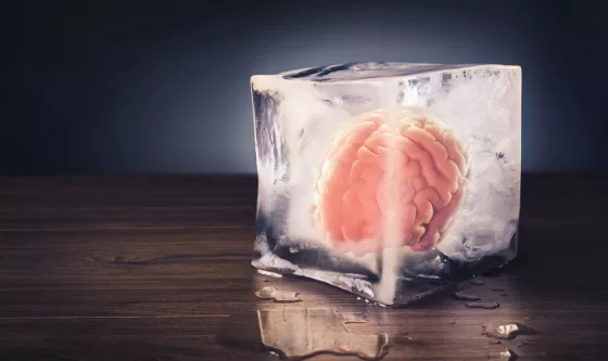 Фрагмент человеческого мозга сохранил работоспособность после заморозки на 18 месяцев