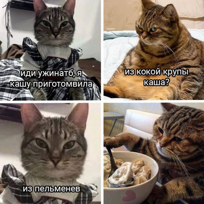 Сопелье — сотрудник аптеки, помогающий подобрать подходящий спрей от насморка 