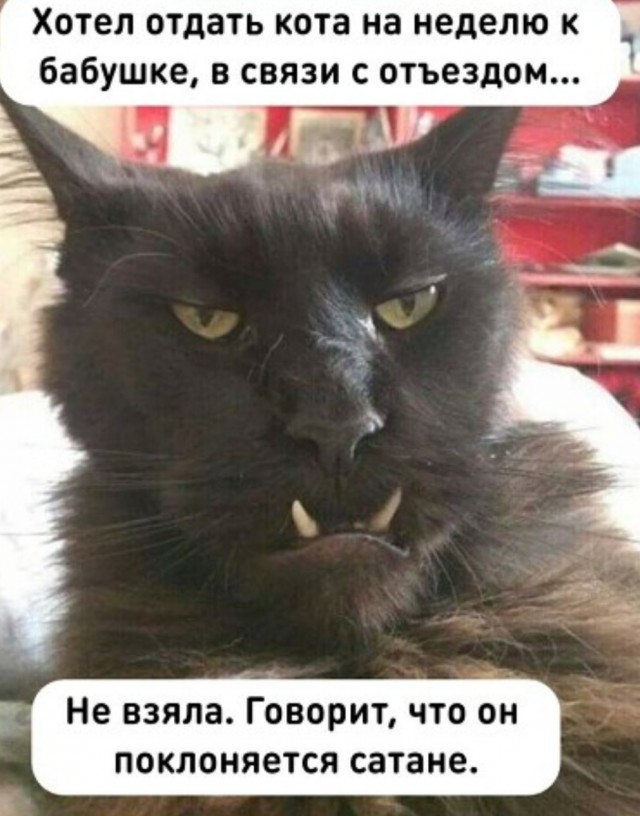 Юмор на любителя