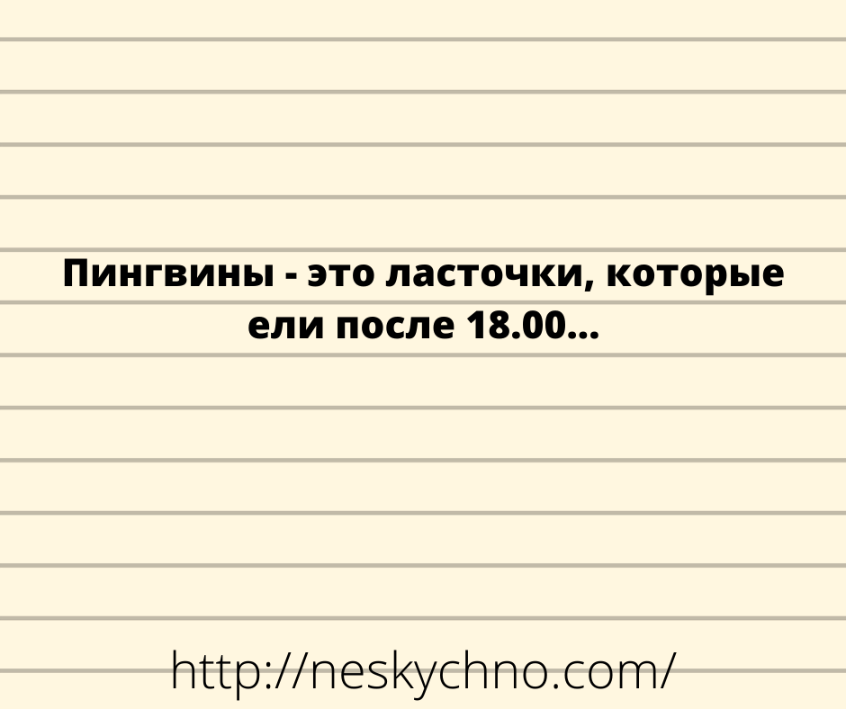 Много юмора. Новая подборка шуток в картинках Много юмора. Новая подборка шуток в картинках