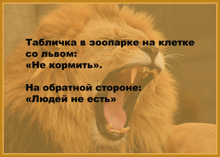 - А вы куда едете на Новый Год? - На попе с горочки. - Подождите, мы с вами! анекдоты