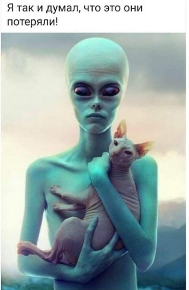 Юмор из интернета 650 позитив,смех,улыбки,юмор