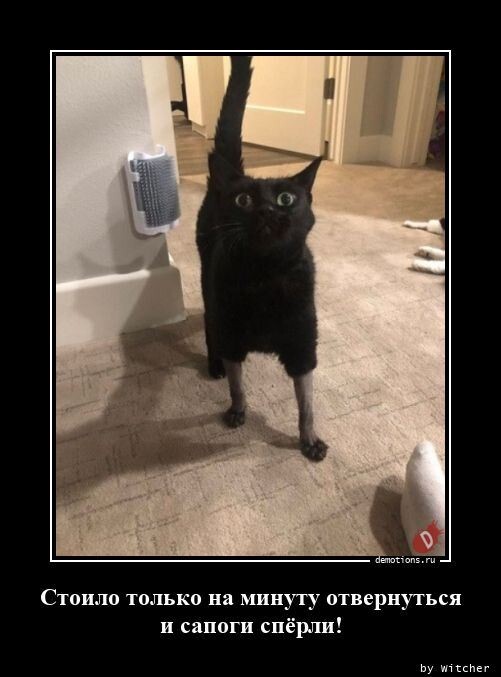 Свежие, прикольные демотиваторы Свежие, прикольные демотиваторы