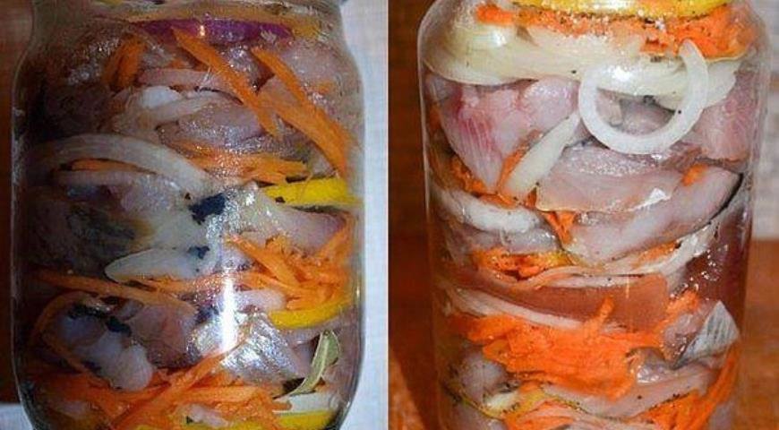 Селедка в банке