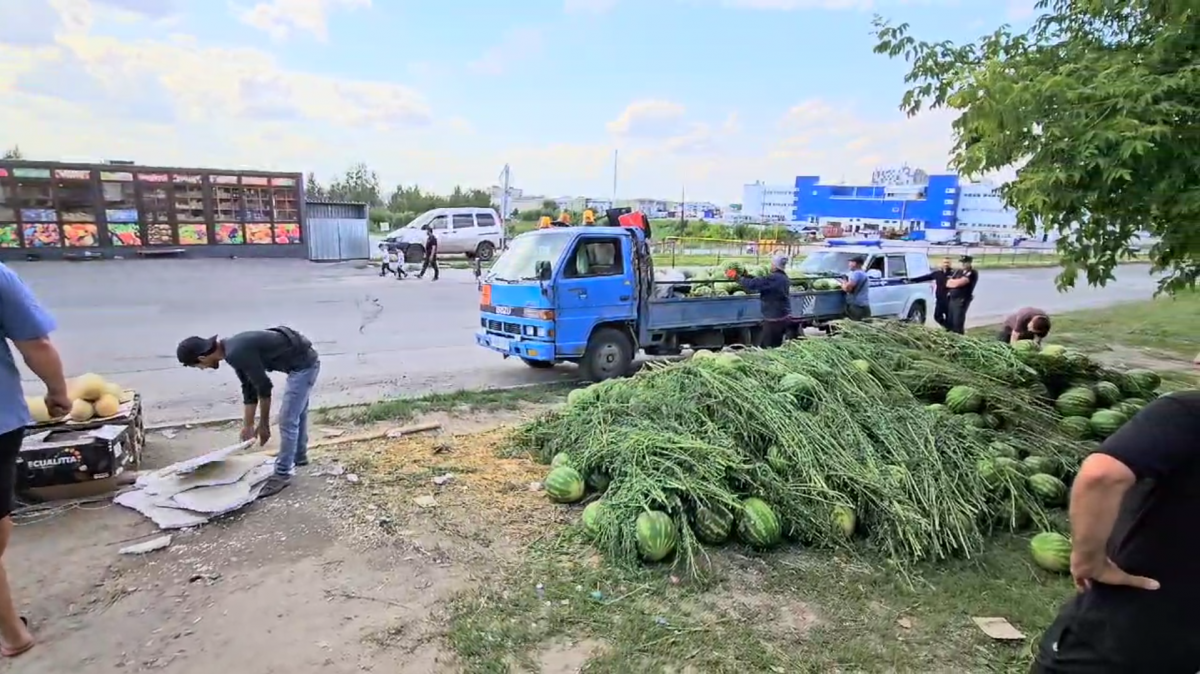 20 тонн арбузов и дынь забрали у нелегалов