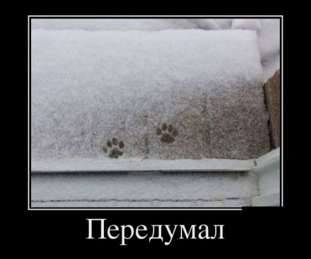 Забавные и веселые жизненные демотиваторы 