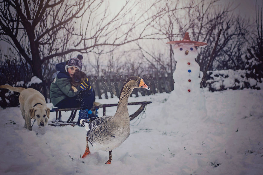 Трогательная дружба дружба, лабрадор, мальчик