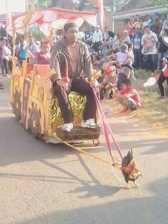 Подборка прикольных картинок Подборка прикольных картинок приколы,смешные картинки,юмор