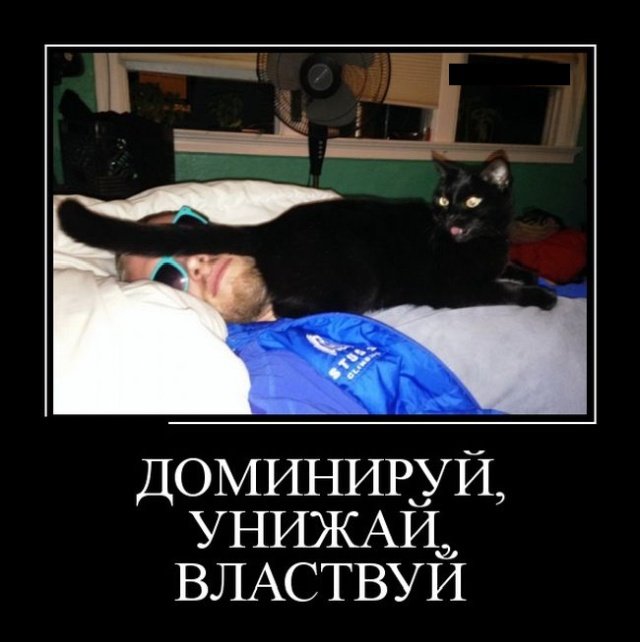 Забавные и веселые жизненные демотиваторы 