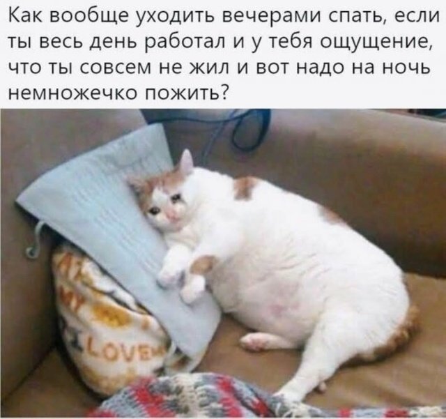 Юмор на разные темы 