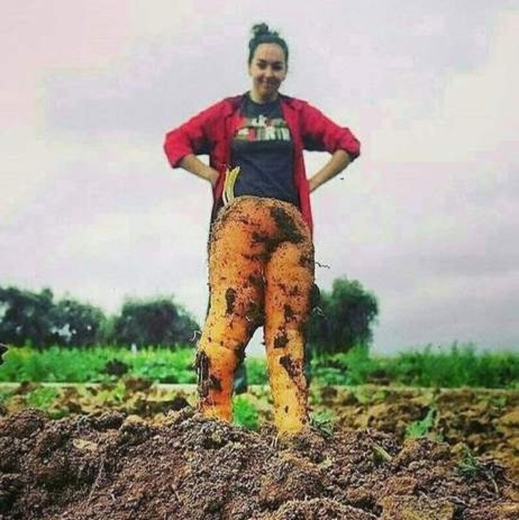 20 доказательств, что нестандартный ракурс может преобразить любой снимок 