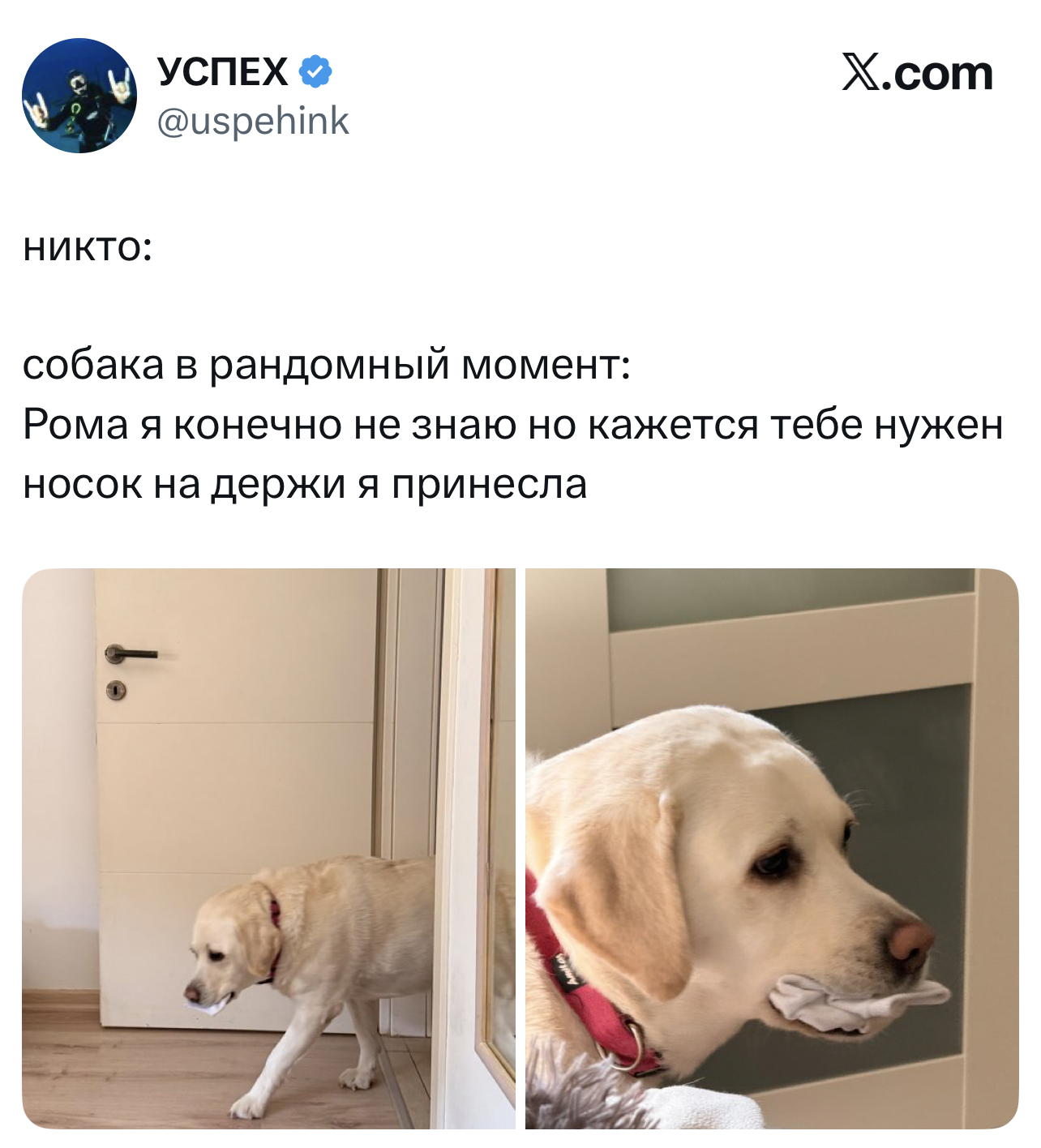 Самые смешные шутки четверга и «абсолютно любой сербский фильм» format-article,noindex,twitter (твиттер),социальная сеть,Развлечения