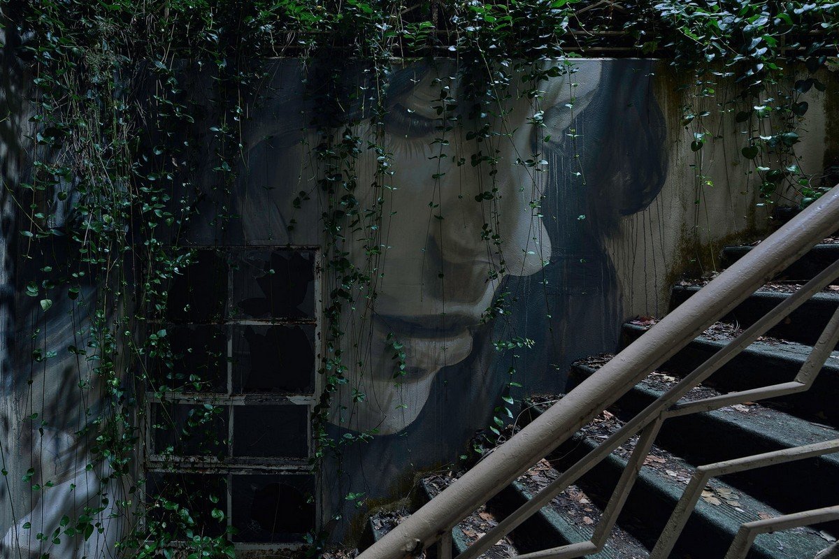 Уличный художник превратил заброшенный особняк в арт-инсталляцию Уличный художник превратил заброшенный особняк в арт-инсталляцию Австралия