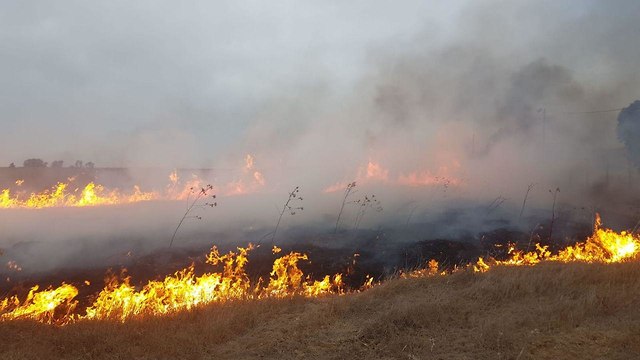 Последние новости Новороссии: Боевые Сводки ООС от Ополчения ДНР и ЛНР — 10 июля 2019 украина
