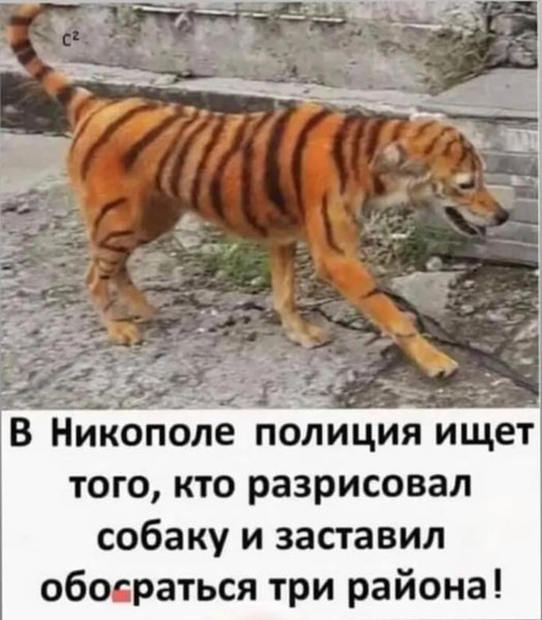 Утрешние юморные картинки Утрешние юморные картинки