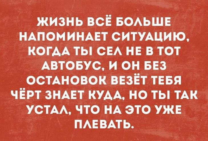 15 ироничных остроумных фразочек в картинках для отличного настроения 