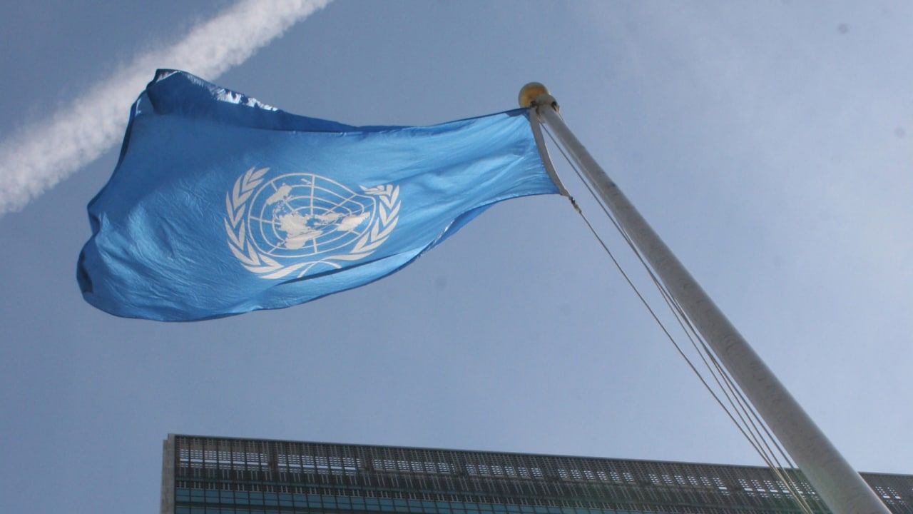 В ООН отметили существенный прогресс по зерновому вопросу Политика