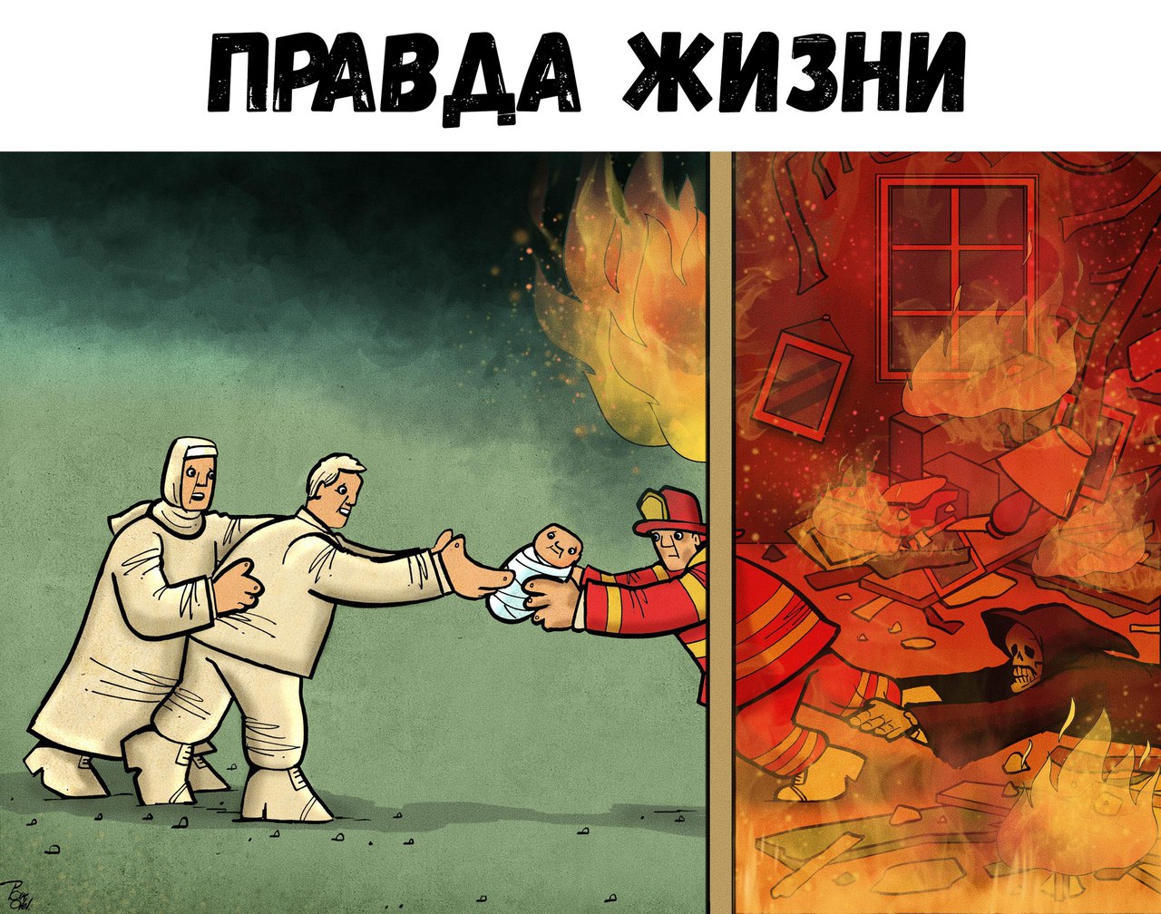 Картинки смешные правды
