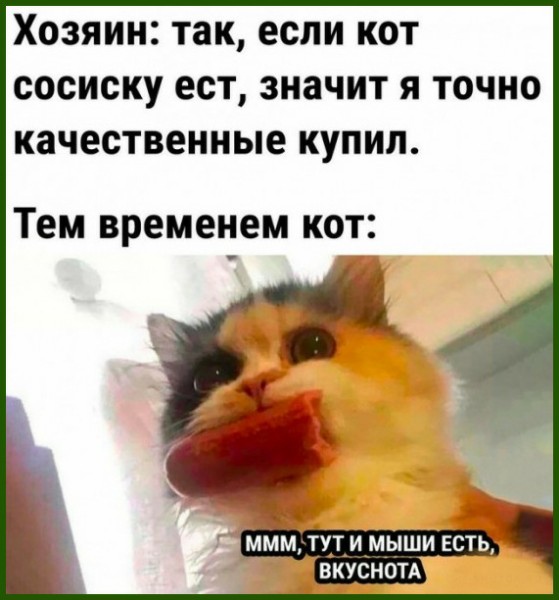 Юмор из интернета 722 позитив,смех,улыбки,юмор