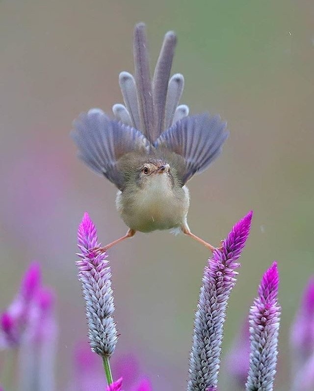 Классные и прикольные фото из сети красивые фотографии,прикольные картинки,шикарные фотографии