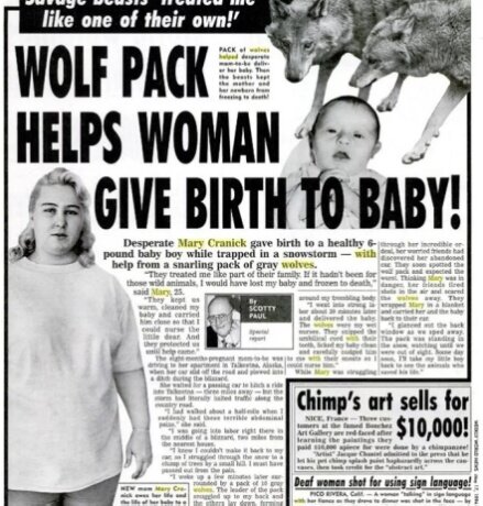 История о том, как волки спасли роженицу и младенца