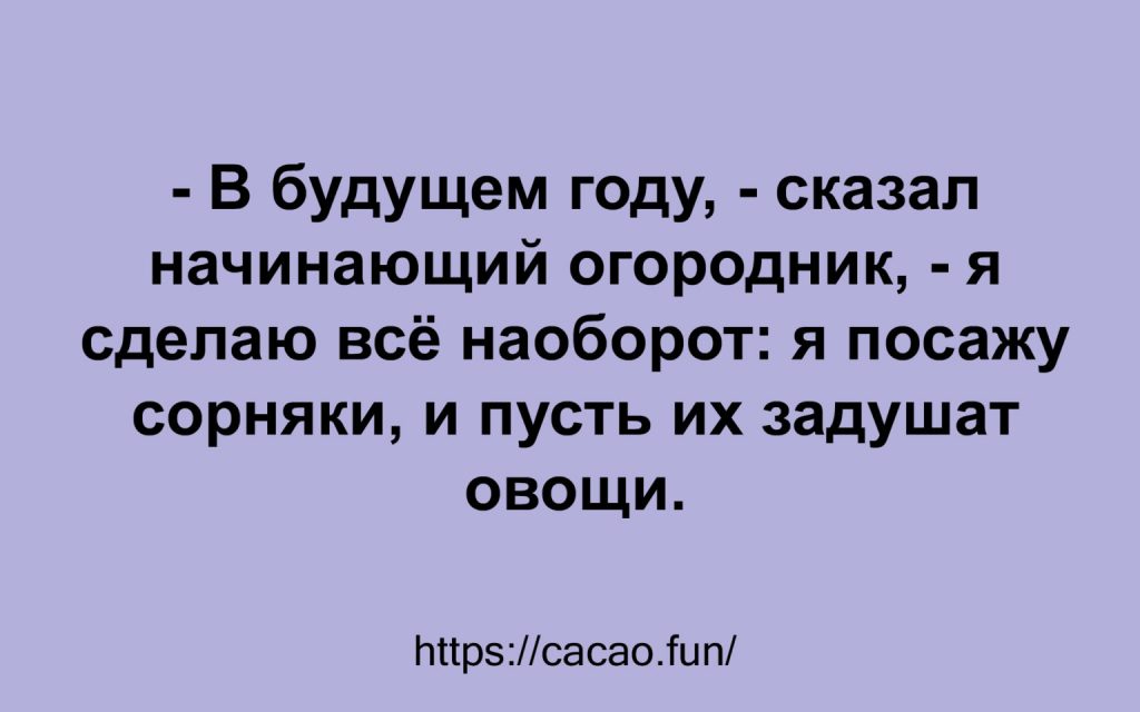 Новая десятка анекдотов: смешно и со вкусом Новая десятка анекдотов: смешно и со вкусом