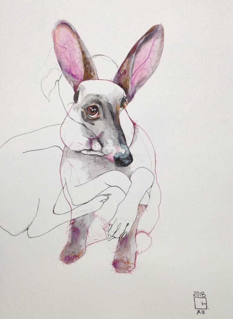 Иллюстрации Ольги Галь 