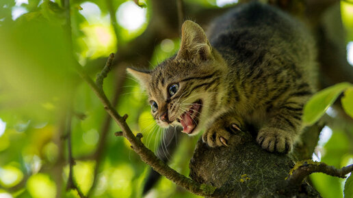 О целесообразности