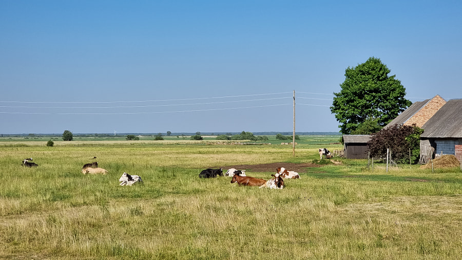 Country side by ⭐⭐⭐⭐⭐J. Photography⭐⭐⭐⭐⭐ on 500px.com
