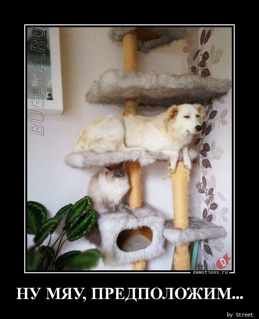 Демотиваторы – приколы: «Картинка со вкусом и запахом»  