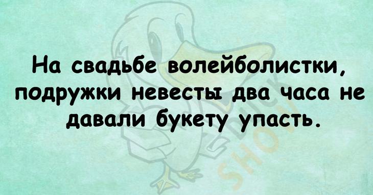 Прекрасное начало летнего дня – подборка веселых анекдотов 