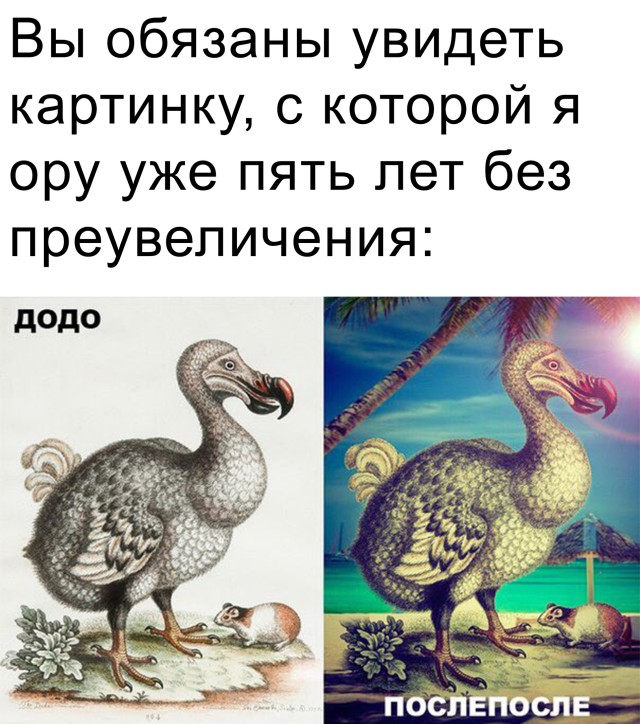 Подборка прикольных картинок  приколы,смешные картинки,юмор