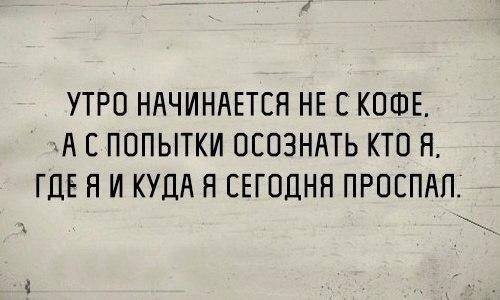 Веселые картинки и фото с надписями из сети Веселые картинки и фото с надписями из сети