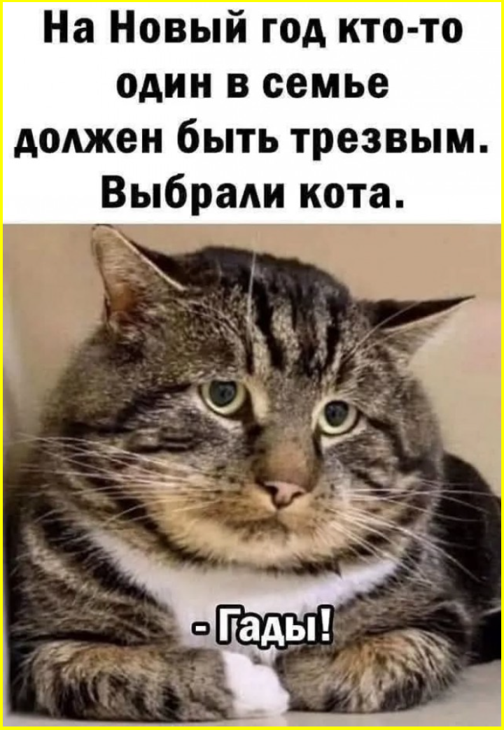 У нас все считают, что все дураки и каждый уверен, что именно он не в счет... 