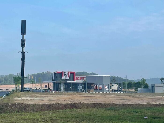 Новый ресторан KFC, построенный на фоне вырубленного дождевого леса в Малайзии. Скоро вокруг него вырастет город
