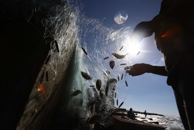 Британия негодует: Власти Фарер разрешили русским рыбалку в своих водах