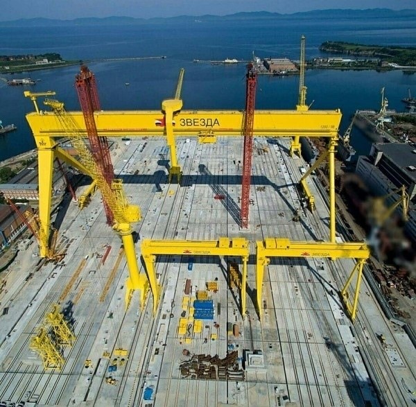 Юрий Селиванов: Тигру не усидеть на горе новости,события