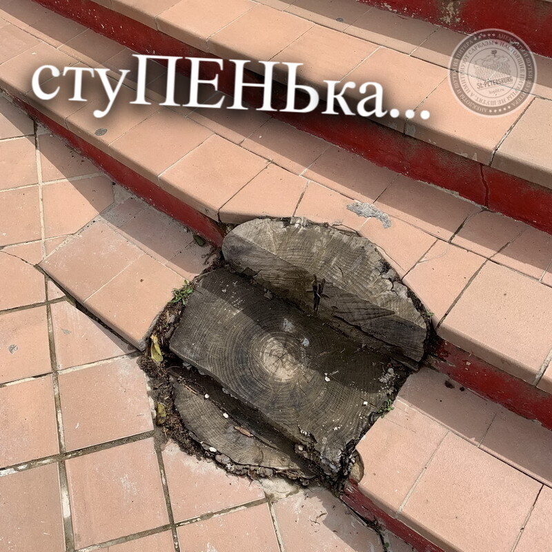 Ступенька