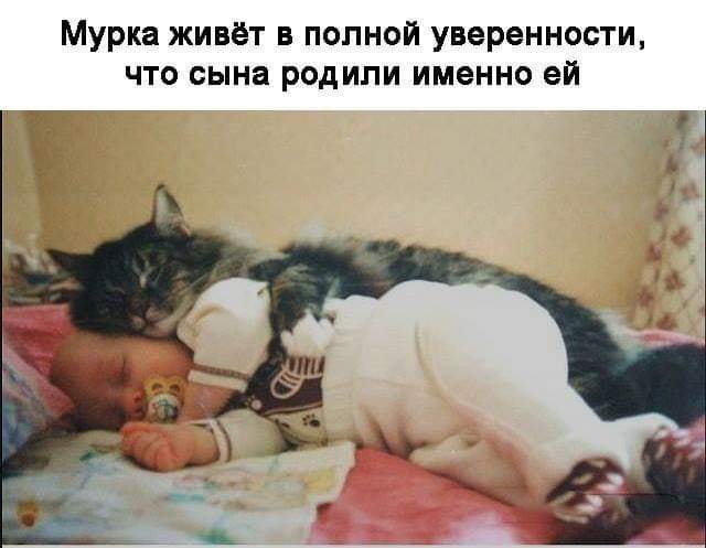 Троллейбус, лето, жарко.. анекдоты