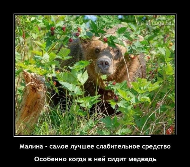 Демотиваторы для любителей черного юмора Демотиваторы для любителей черного юмора